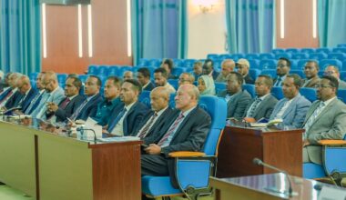 Ethiopia Maximizing Efforts to Advance Humanitarian Self-Reliance, Deputy PM Says - ENA English