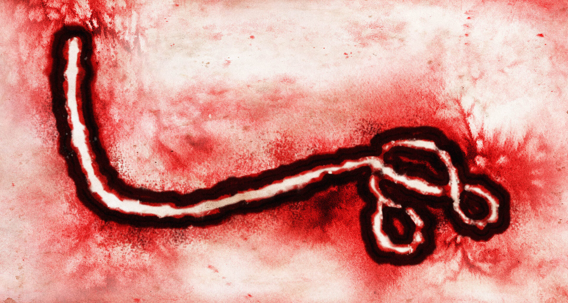 Ebola-related virus in Ethiopia has the WHO highly concerned