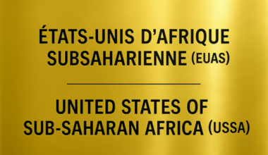 Importations chinoises, emploi, pauvreté et conflits, des États-Unis d’Afrique Subsaharienne seraient plus forts