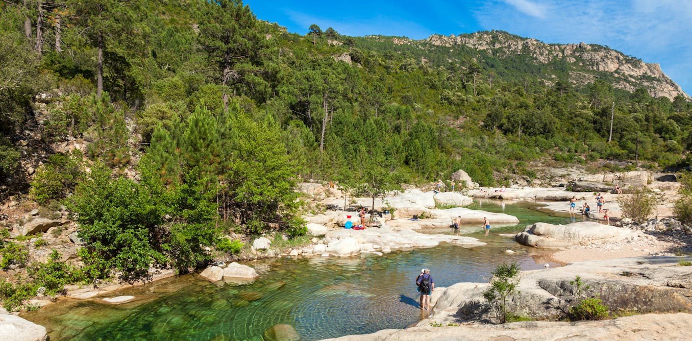 d’où vient cette maladie parasitaire et comment s’en protéger ?