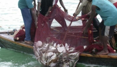 Zanzibar summit to target economic losses from illegal fishing