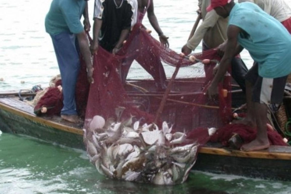 Zanzibar summit to target economic losses from illegal fishing