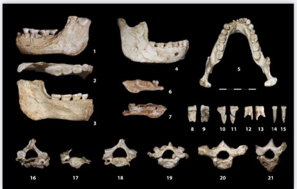 Maroc: des fossiles humains découverts à Casablanca apportent un éclairage inédit sur une période clé de l'évolution humaine
