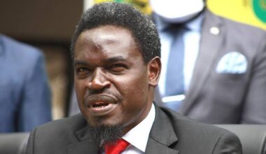 Havi eyes Westands seat, promises to ensure strict oversight of Judiciary