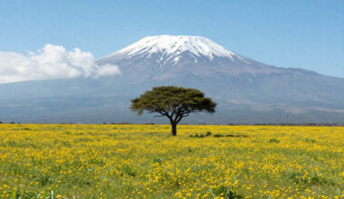 Tanzania Joins Namibia, South Africa, Uganda, Rwanda, And More Countries In Africa In Leading The Way In Sustainable Tourism And Powering Revenue Growth