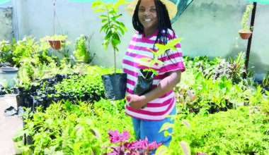 Oniipa teacher’s fruit tree goldmine - Business Home 3