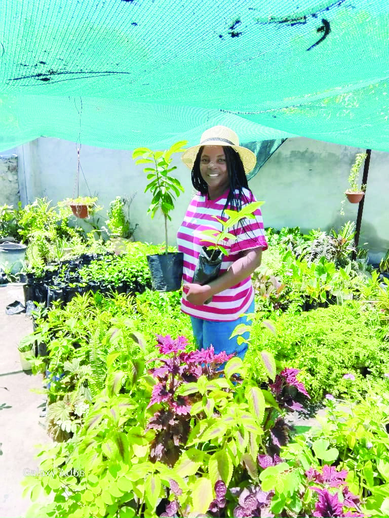 Oniipa teacher’s fruit tree goldmine - Business Home 3