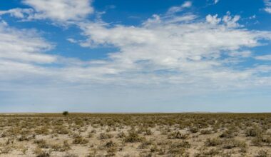 Namibia sends in army to fight devastating wildfire in Etosha game reserve