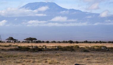 Rescue helicopter crashes on Tanzania's Mount Kilimanjaro, killing all 5 on board