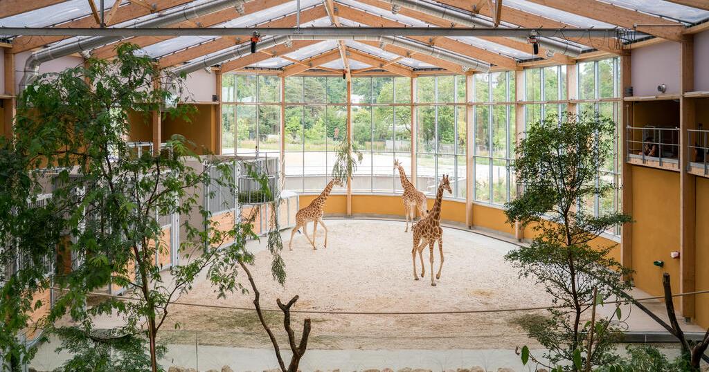 "Horizon Afrique" immersion au zoo de Mulhouse