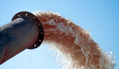 Community rallies against sewage pollution along Cape Town coastline