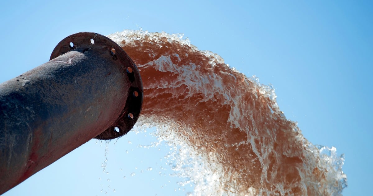 Community rallies against sewage pollution along Cape Town coastline