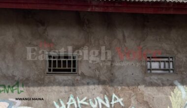 How ‘hakuna matata’ quietly conquered the world