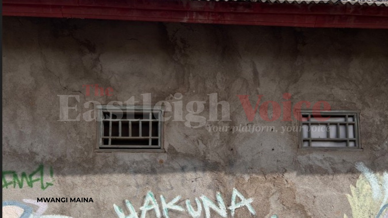 How ‘hakuna matata’ quietly conquered the world