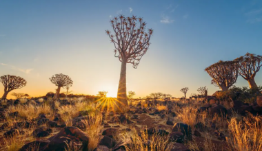 Namibia named Africa’s top destination for authentic travel