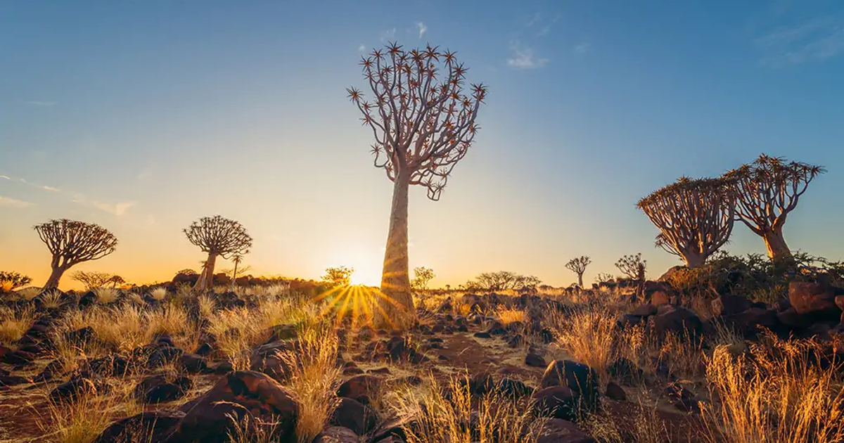 Namibia named Africa’s top destination for authentic travel