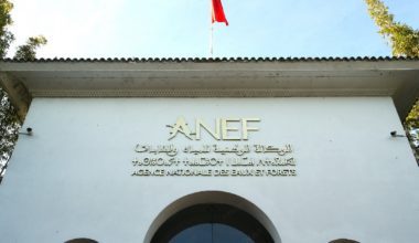 La période de chasse au gibier sédentaire prend fin pour la saison 2025-2026, annonce l’ANEF