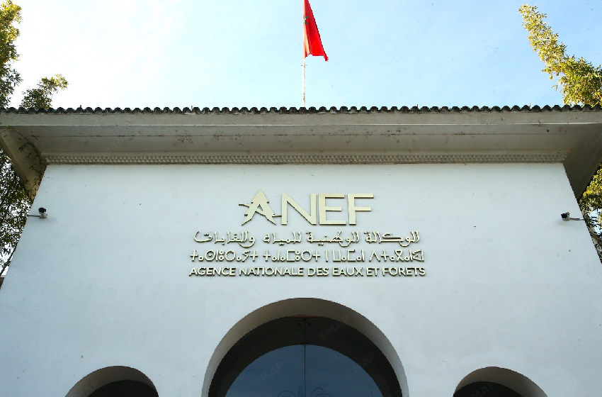 La période de chasse au gibier sédentaire prend fin pour la saison 2025-2026, annonce l’ANEF