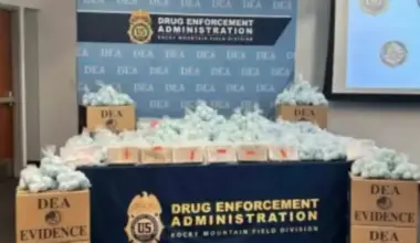 Senegal vs Morocco: Follow the Africa Cup Final with El Aynaoui Playing