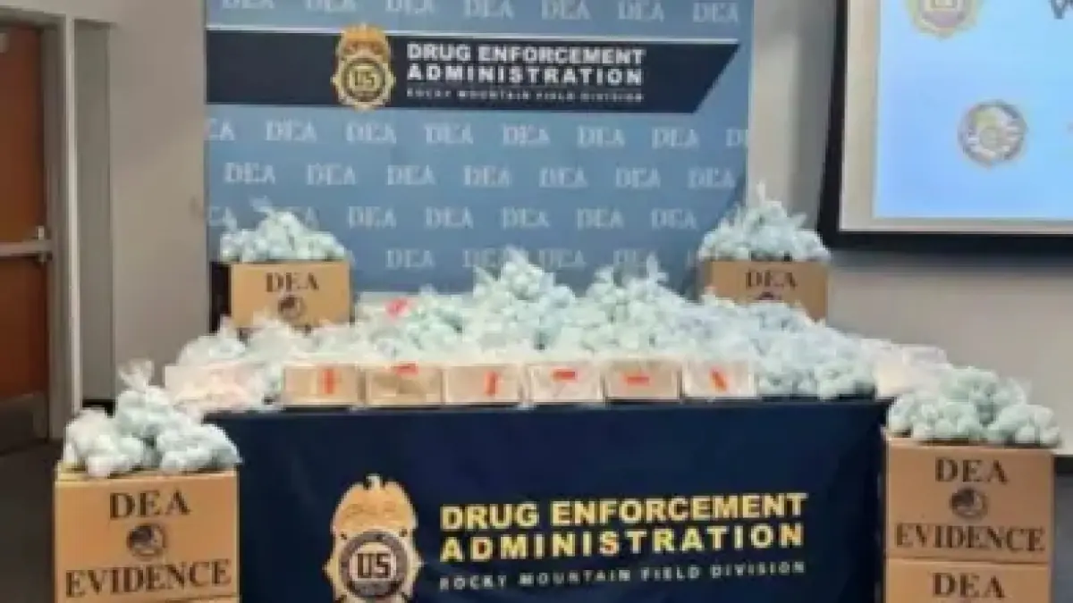 Senegal vs Morocco: Follow the Africa Cup Final with El Aynaoui Playing