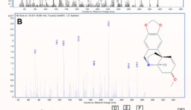 The 60,000-year-old backed microlith from Umhlatuzana Rock Shelter in KwaZulu-Natal, South Africa: (A) buphanidrine and (B) epibuphanisine detected in a sample from the microlith; (C) the microlith showing the reddish poisonous adhesive residue still adhering to the dorsal backed portion of the tool. Image credit: Isaksson et al., doi: 10.1126/sciadv.adz3281.
