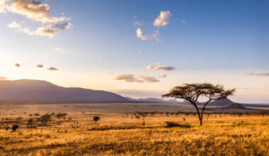 Kenya’s Tourism Growth Soars As New Social Media Pages Focus On Engaging Indian Travel Market With Exclusive Content And Curated Itineraries