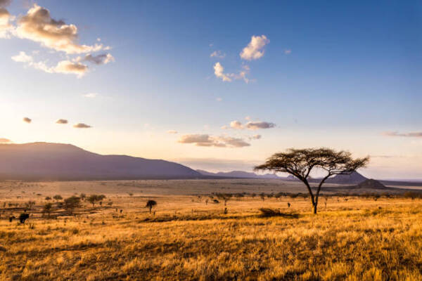 Kenya’s Tourism Growth Soars As New Social Media Pages Focus On Engaging Indian Travel Market With Exclusive Content And Curated Itineraries