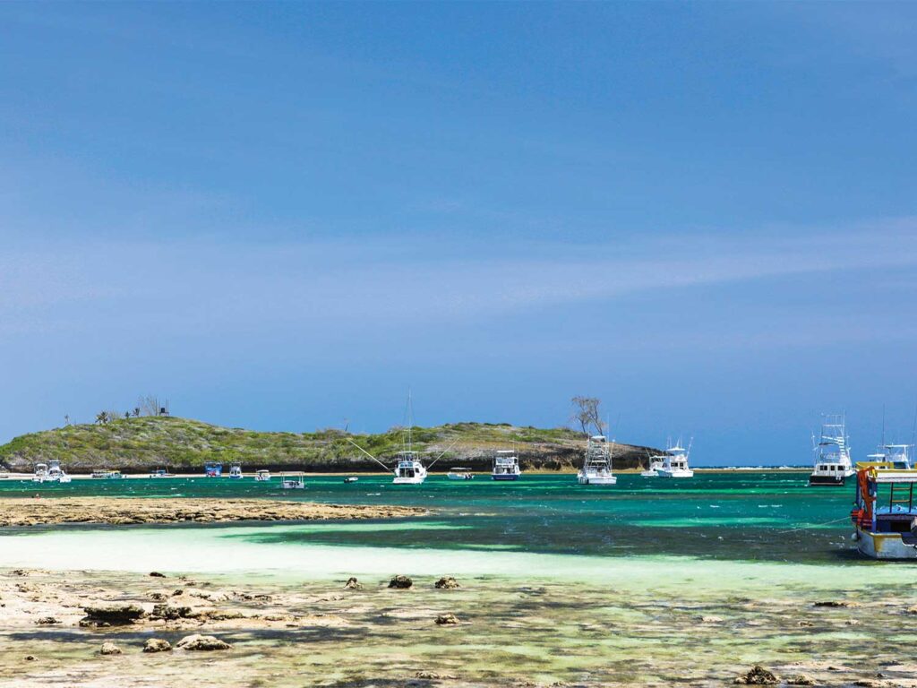 Fleet of sport-fishing boats