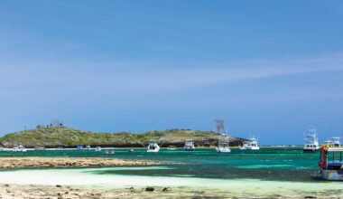 Fleet of sport-fishing boats
