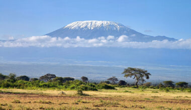 Tanzanian youth to pitch Kilimanjaro to the world