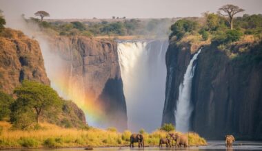 Zimbabwe’s Tourism Industry Confronts Financial Strain from New VAT Policy