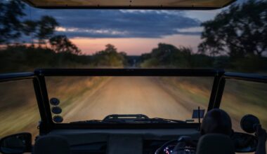 Guests at the Kruger National Park evacuated due to severe thunderstorm warning