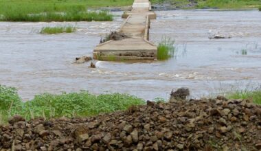 kruger national park sanparks