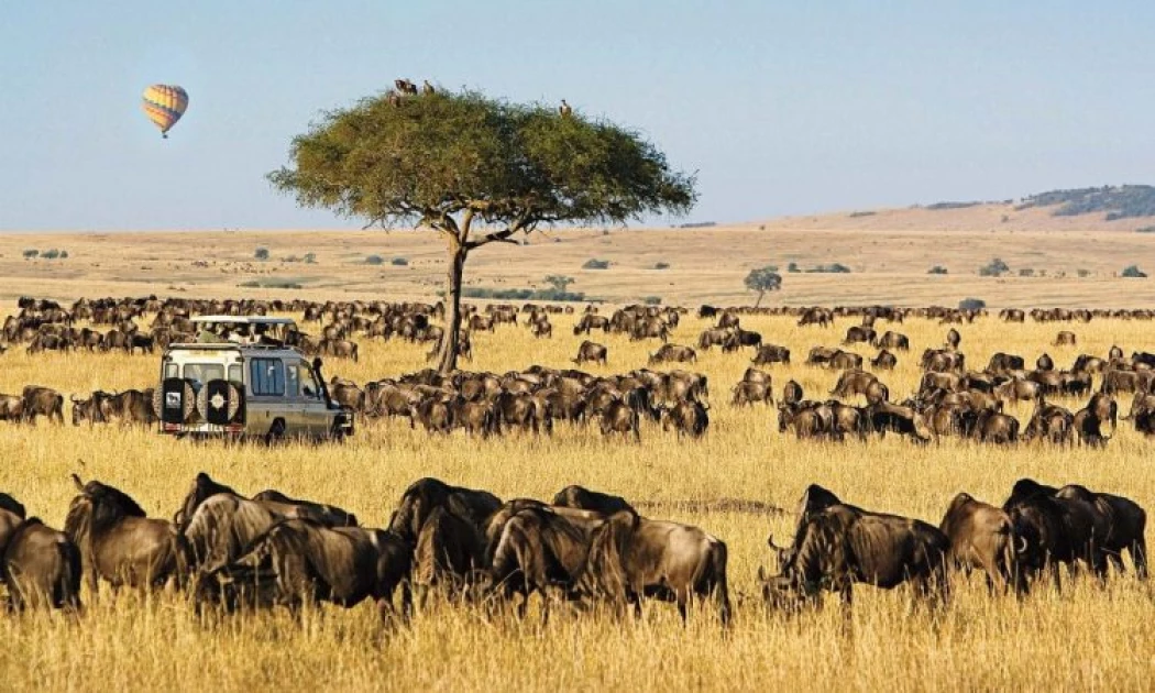 OPINION: How tourism is a soft power tool and opportunities that elevate Kenya’s global image