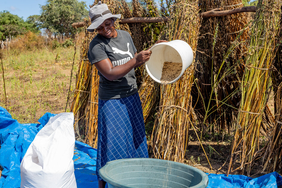 From Zimbabwe to Japan: How sesame seeds are helping farmers grow a profit