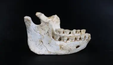 Des fossiles humains découverts au Maroc apportent un éclairage sur les origines d’Homo sapiens