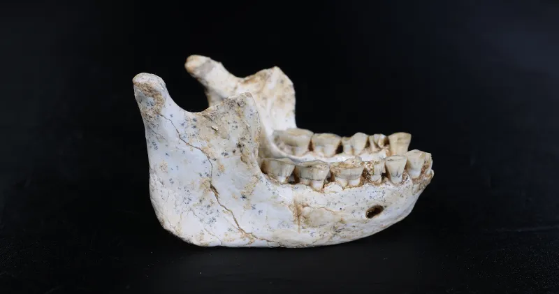 Des fossiles humains découverts au Maroc apportent un éclairage sur les origines d’Homo sapiens