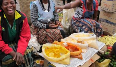 Zimbabwe’s informal sector – more carrots than sticks are needed