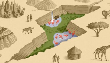 Welcome to Kenya’s Great Carbon Valley: a bold new gamble to fight climate change