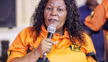 Shinga faces disciplinary action for defying NFP mandate in KZN legislature