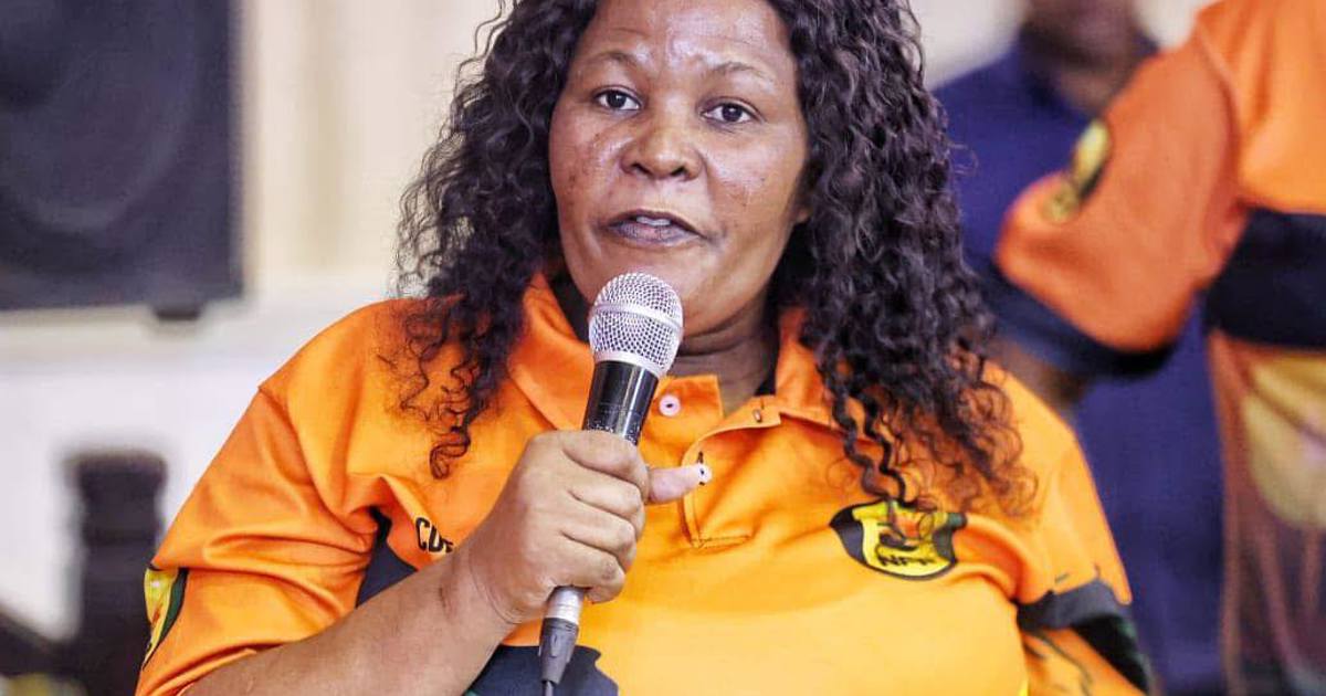 Shinga faces disciplinary action for defying NFP mandate in KZN legislature