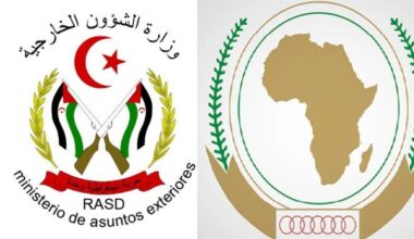 Sahrawi Republic submits candidature for AU Peace and Security Council seat for the period of 2026-2028