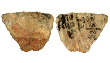 Microlith 001 showing the reddish poisonous adhesive residue still adhering to the dorsal backed portion of the tool