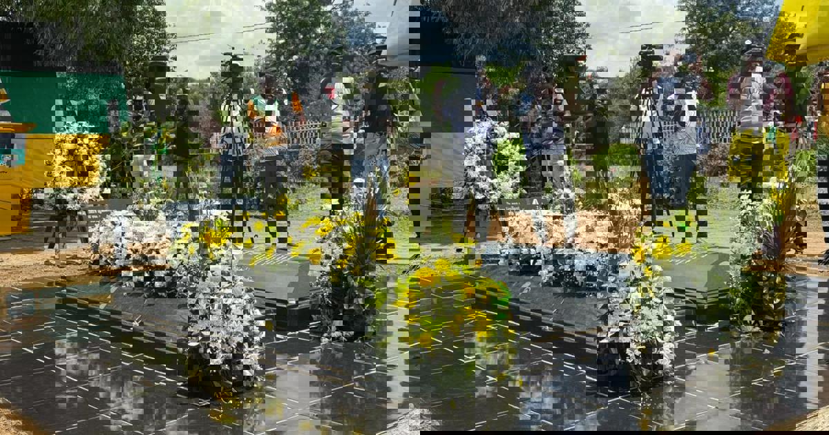 Ramaphosa leads wreath-laying ceremony for Moses Kotane on ANC's 114th anniversary