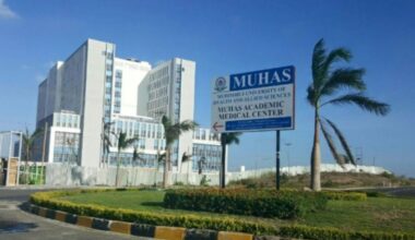 Beyond prestige, why Muhas ranking matters for Tanzania
