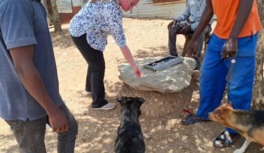 Namibia leads the way in rabies prevention – adopting oral rabies vaccination to accelerate progress
