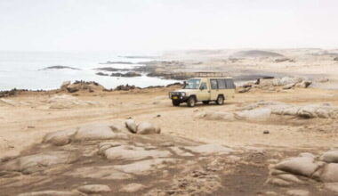 I Traveled Untamed Lands On Safari