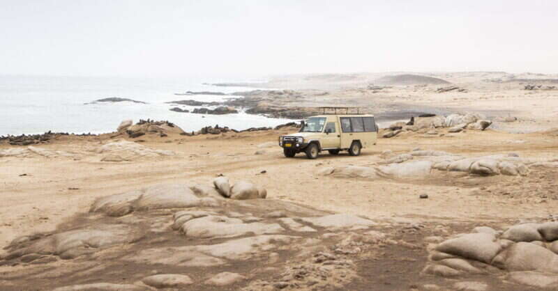 I Traveled Untamed Lands On Safari