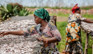 Namibia Champions Climate-Smart Innovations in Small-Scale Fisheries