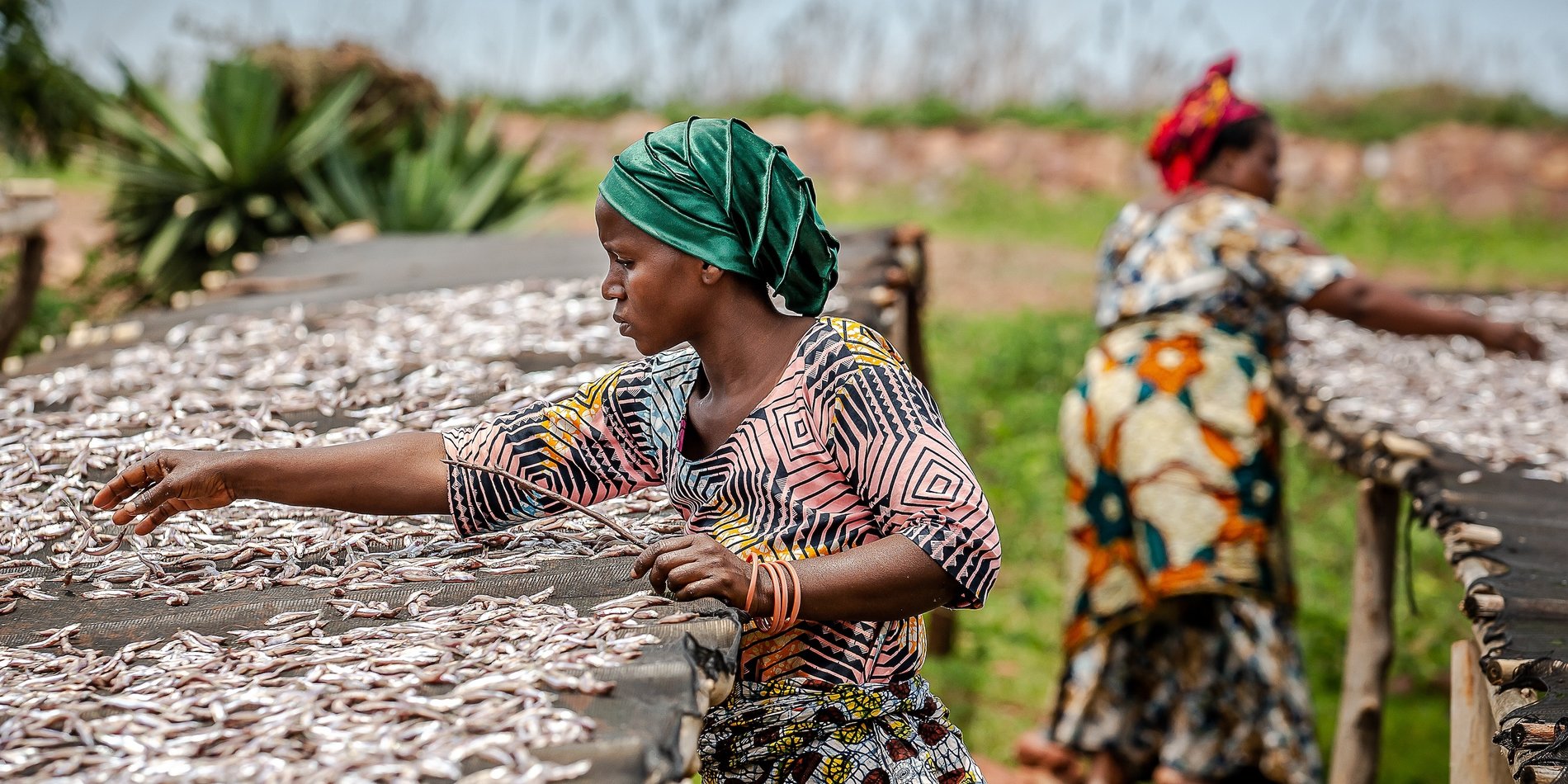 Namibia Champions Climate-Smart Innovations in Small-Scale Fisheries